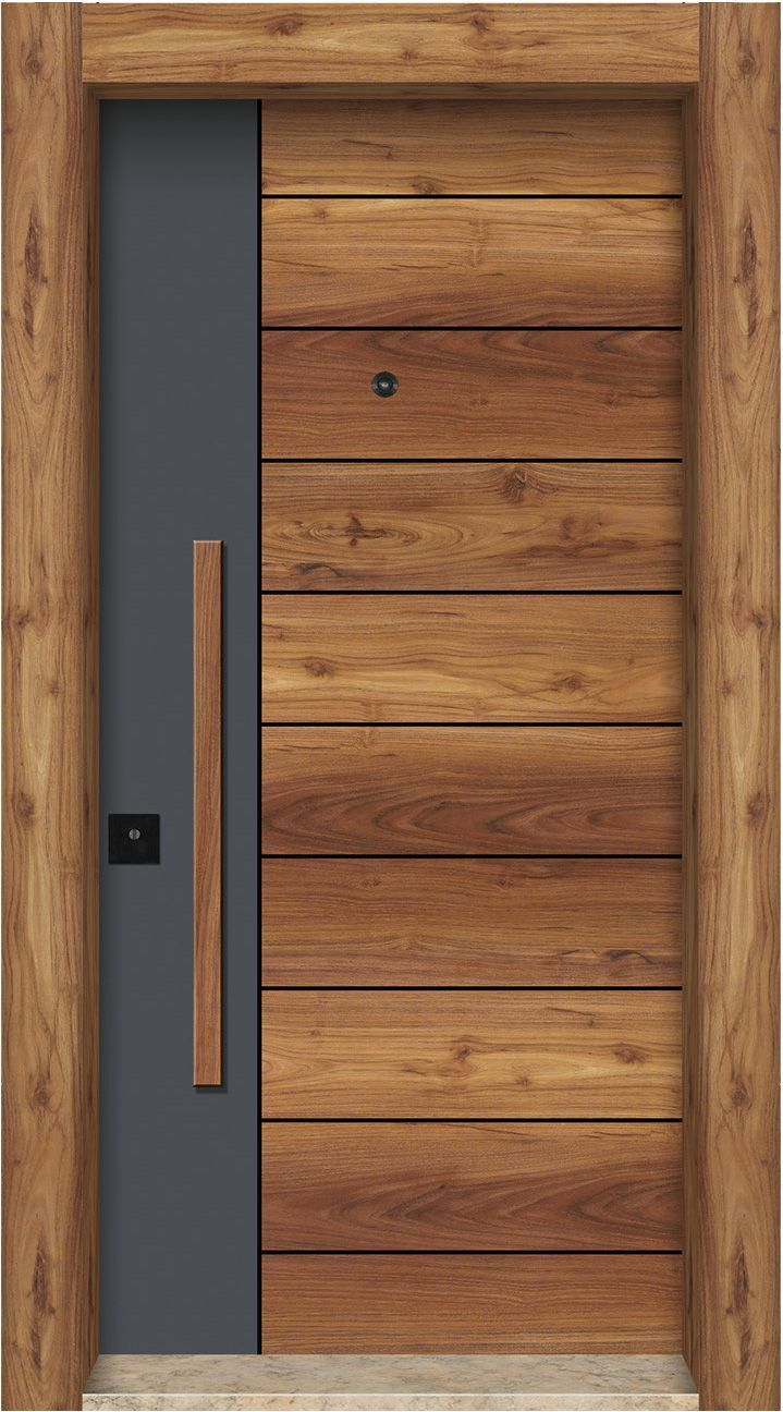Modern Pivot Door